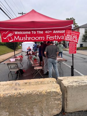 The Mushroom Festival welcome stand handing out stickers, pamphlets, and information about the festivities.