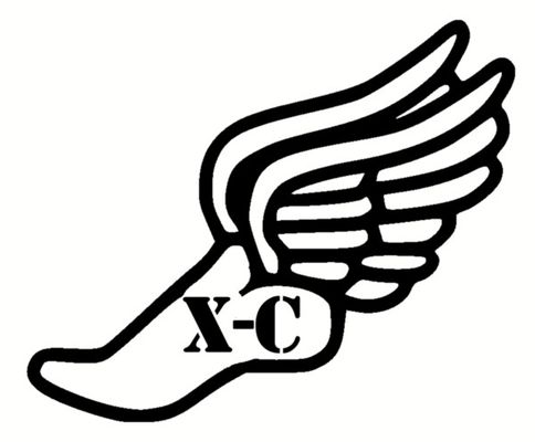 Winged cross country shoe